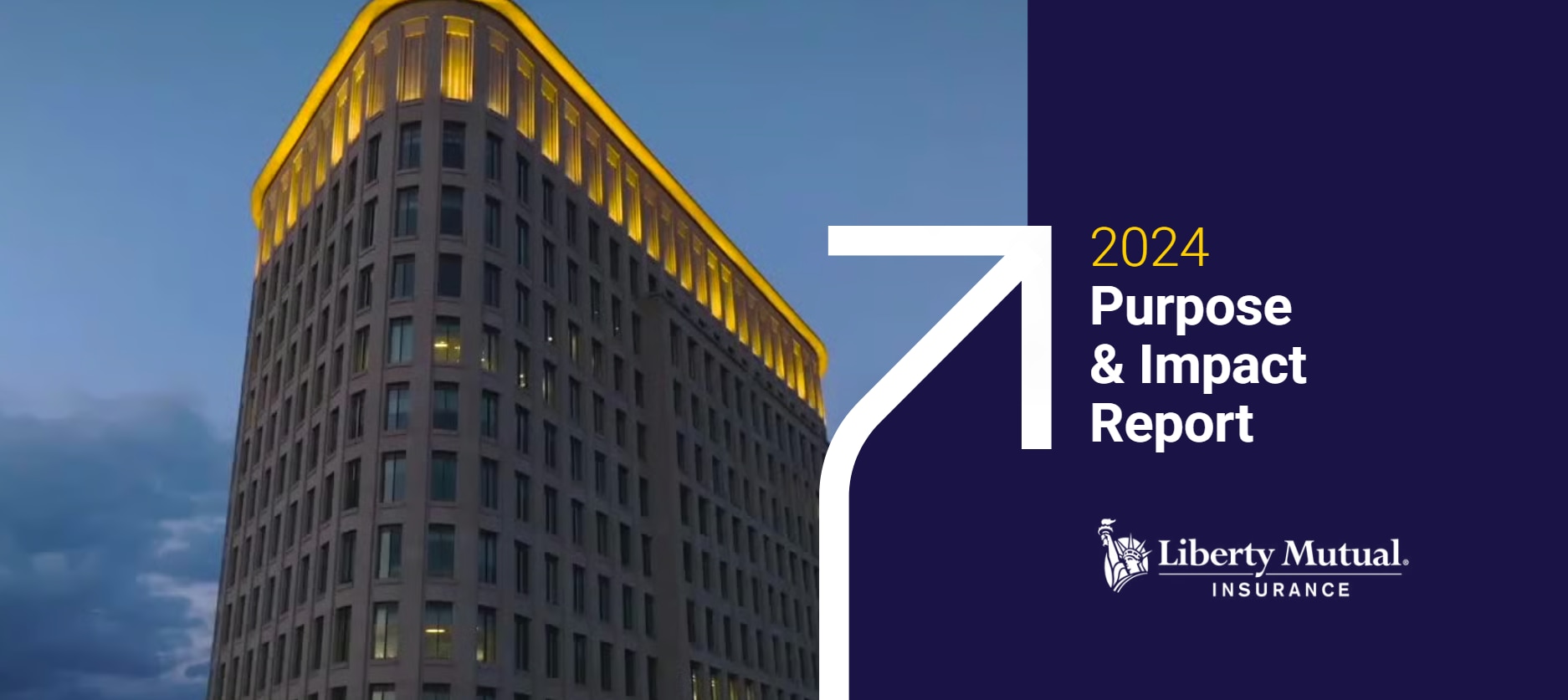 Purpose and impact report